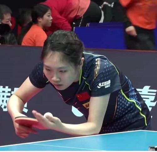 中国队横扫韩国队，马琳高光表现