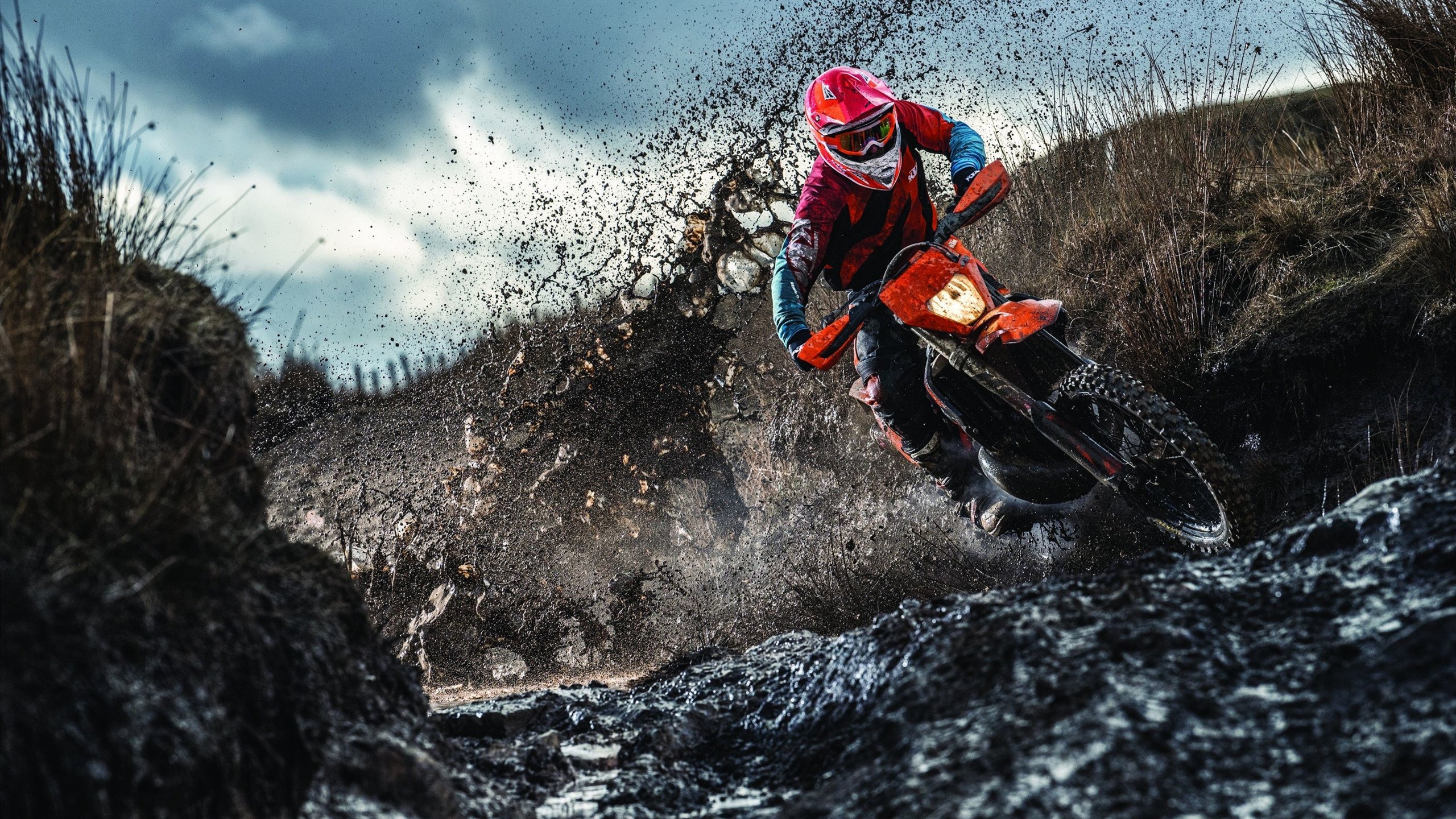 绝杀时刻,红牛车队最后两圈反杀法拉利,诺里斯带队诠释完美不可能